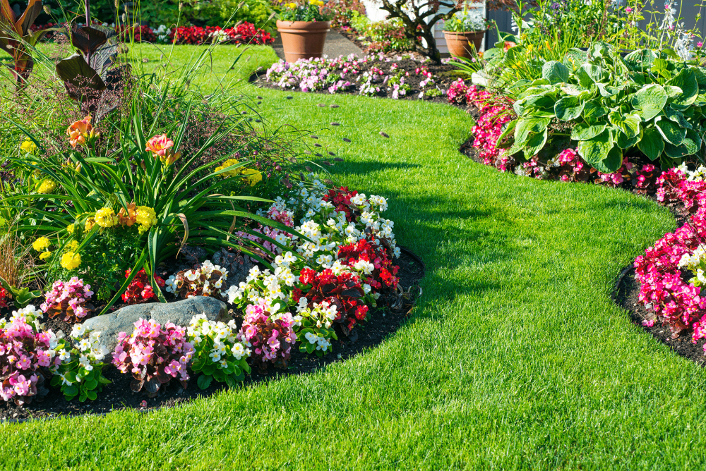 jardin creation