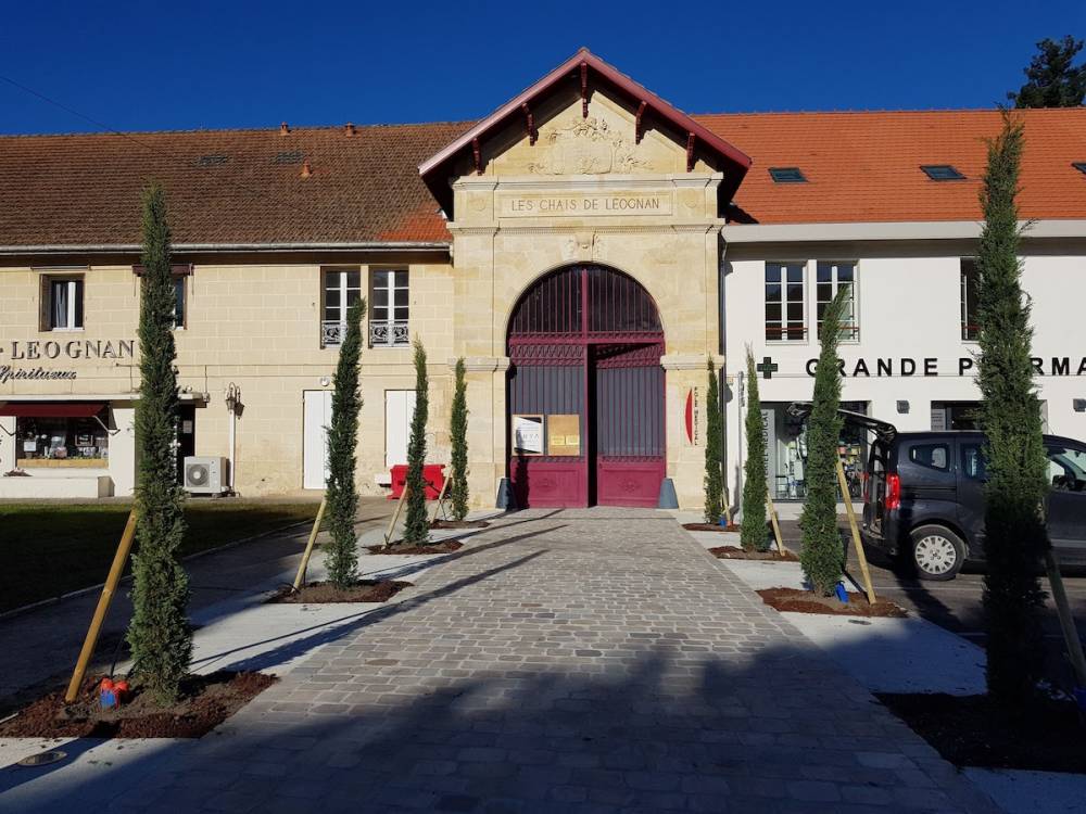 entretien-espaces-verts---coach-in-garden