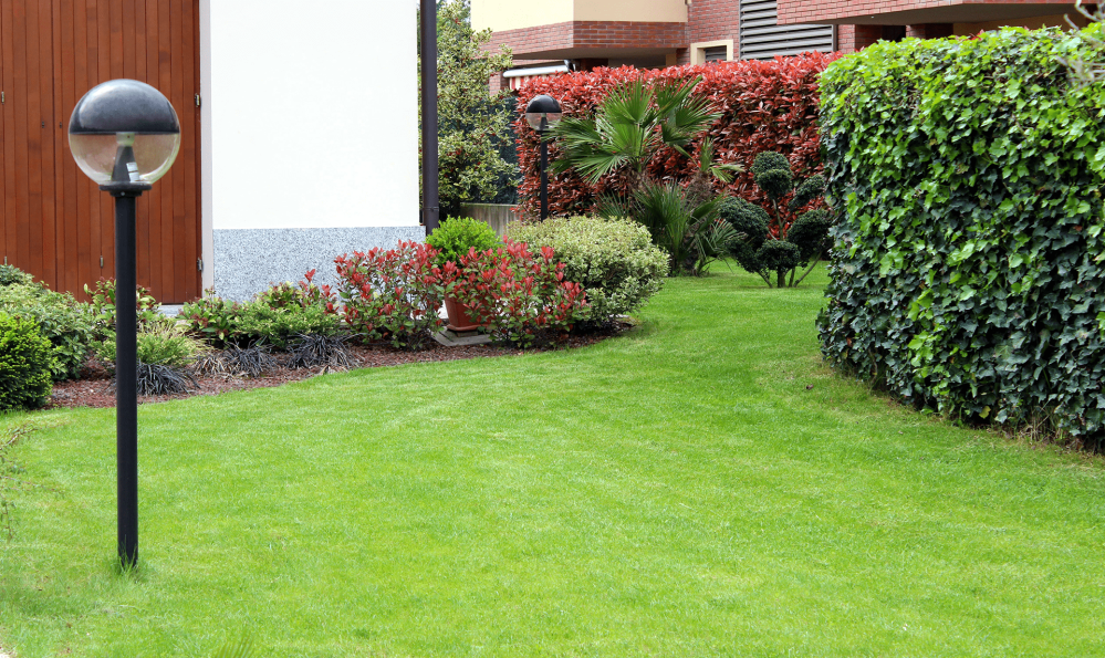 aménagement création jardin pro