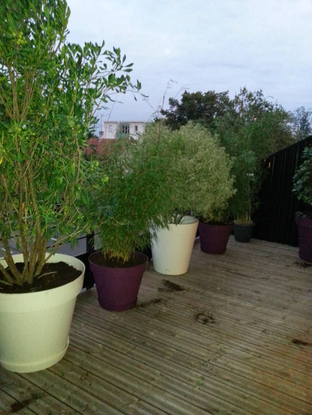 amenagement exterieur (1)