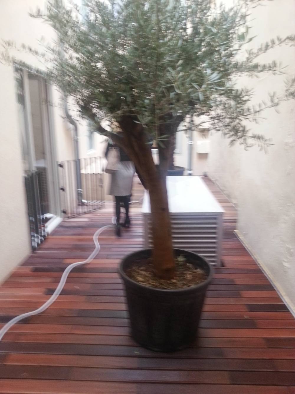 amenagement exterieur (2)