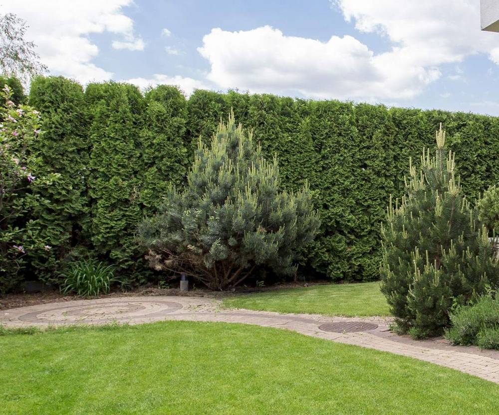 amenagement exterieur (22)