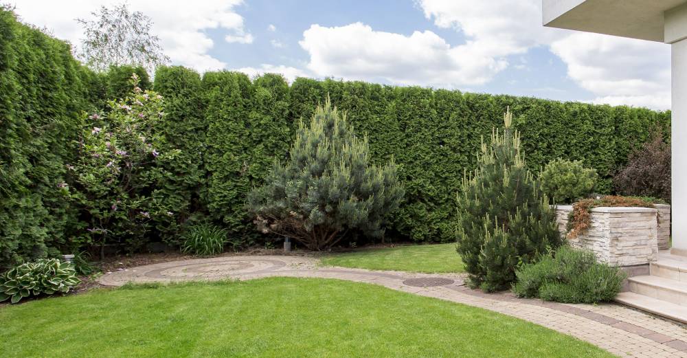 entretien jardin (6)